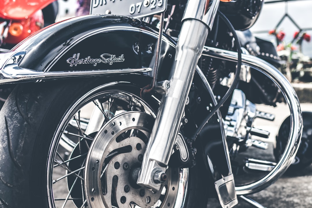 gray and black Harley-Davidson motorcycle