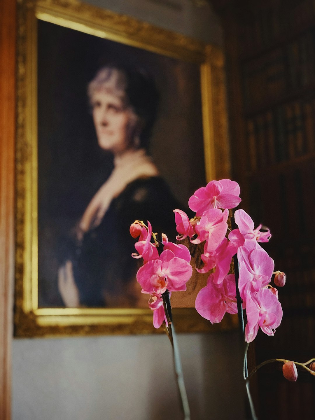 pink petaled flower in front of a photo frame close-up photography