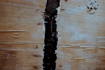 A close-up view of a piece of wood or plywood with a vertical crack running down the center. The surface shows natural grain patterns and a light brown color with some dark spots.