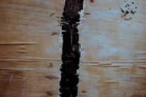 A close-up view of a piece of wood or plywood with a vertical crack running down the center. The surface shows natural grain patterns and a light brown color with some dark spots.