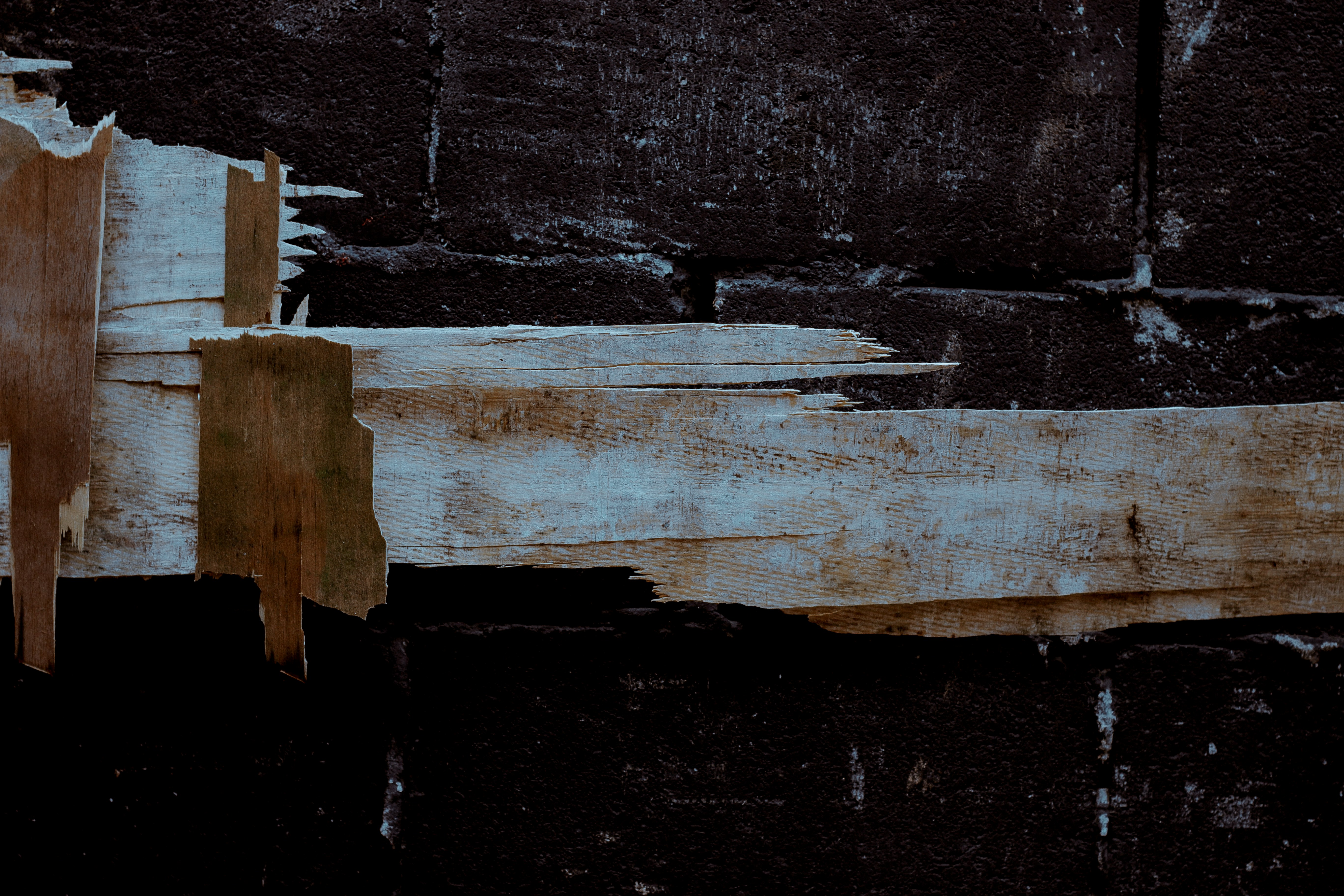 Photo by orlandoallo