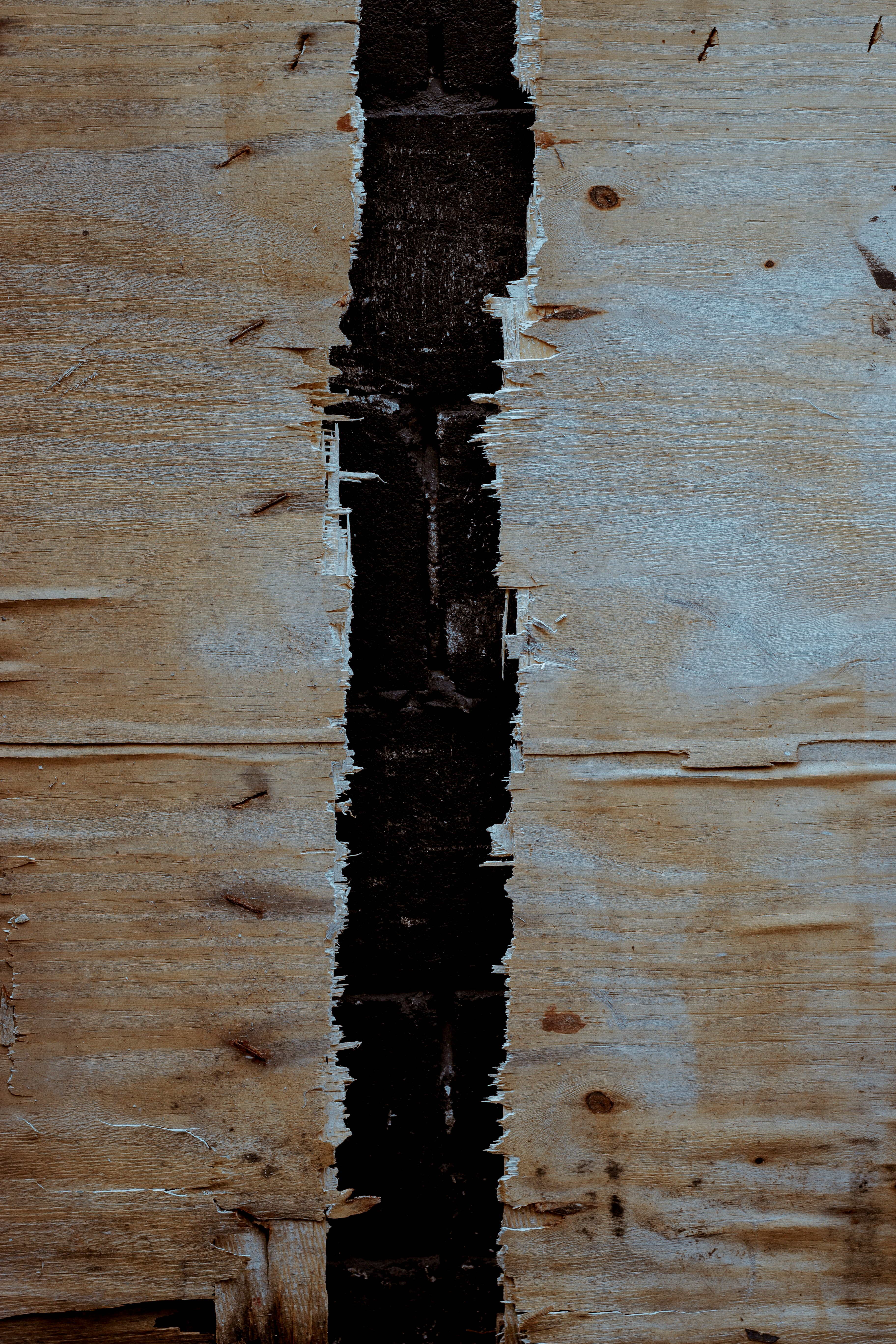 Photo by orlandoallo