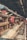 Chickens are housed in a row of wooden cages, with some of them poking their heads out towards the camera. The setting appears to be a chicken farm or coop with a focus on egg production. A feeding trough filled with grain stretches along the length of the cages, and eggs can be seen below, placed on a track.