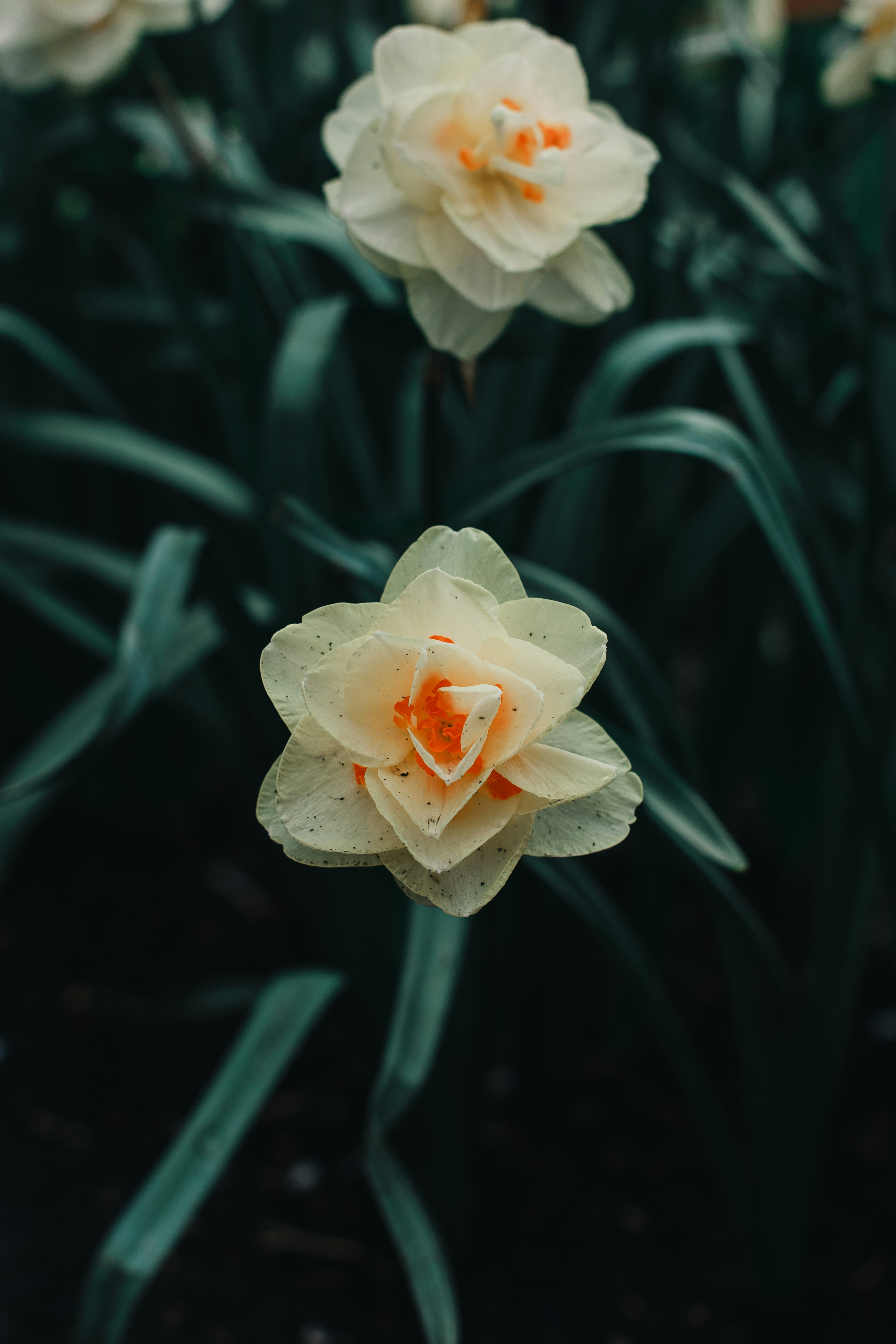 Photo by marcelocidrack