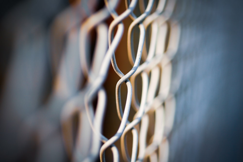 gray chain-link fence