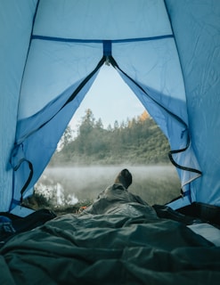 View from inside the Float Tent looking out over a misty woodland landscape.