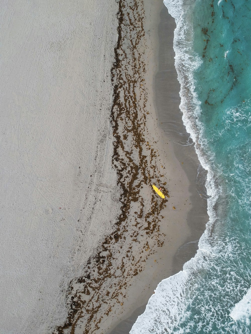 wavy seashore during daytime