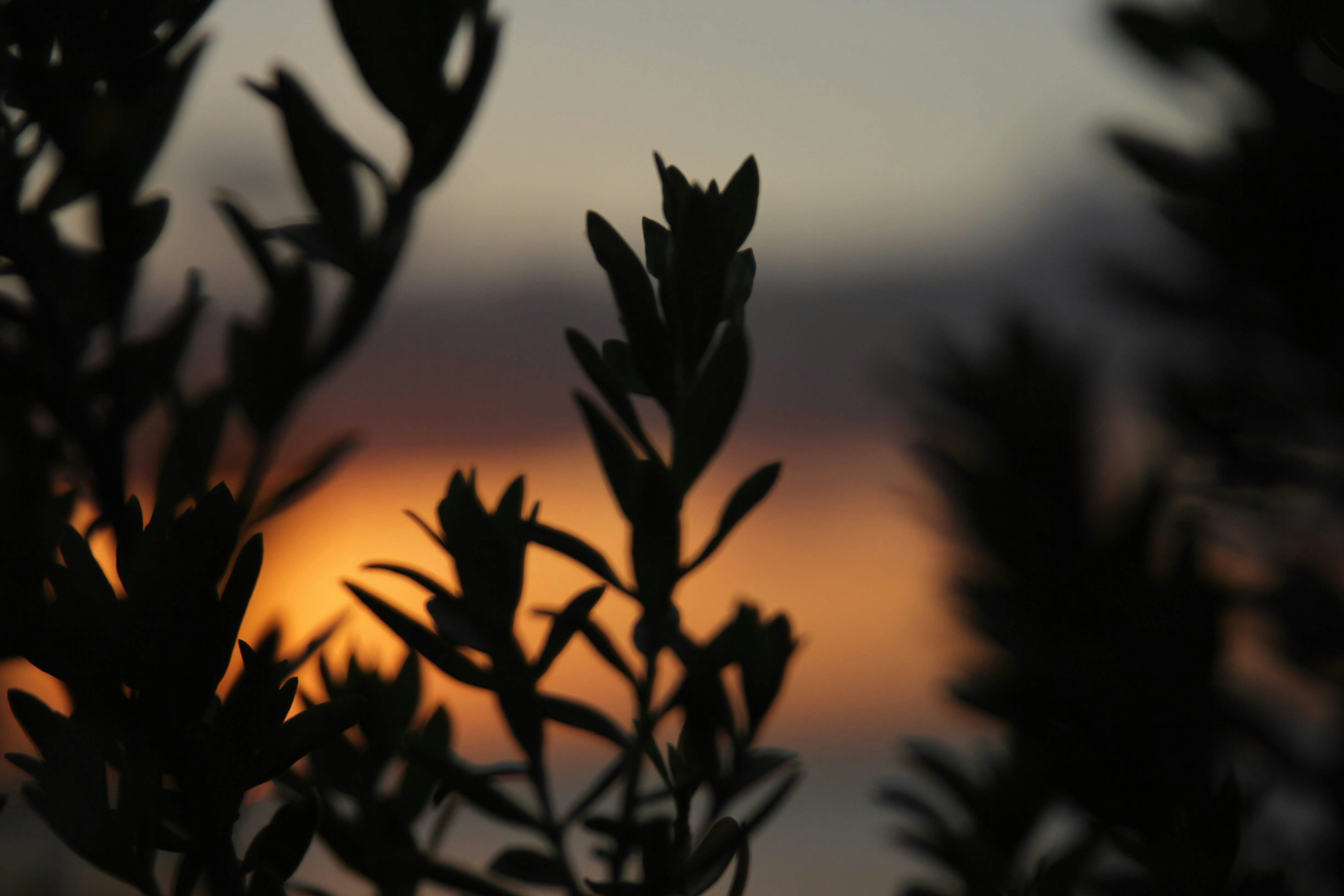 Photo by johnnybenitez_