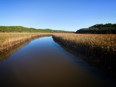 A calm river flowing alongside grassy rolling hills under a bright sky.