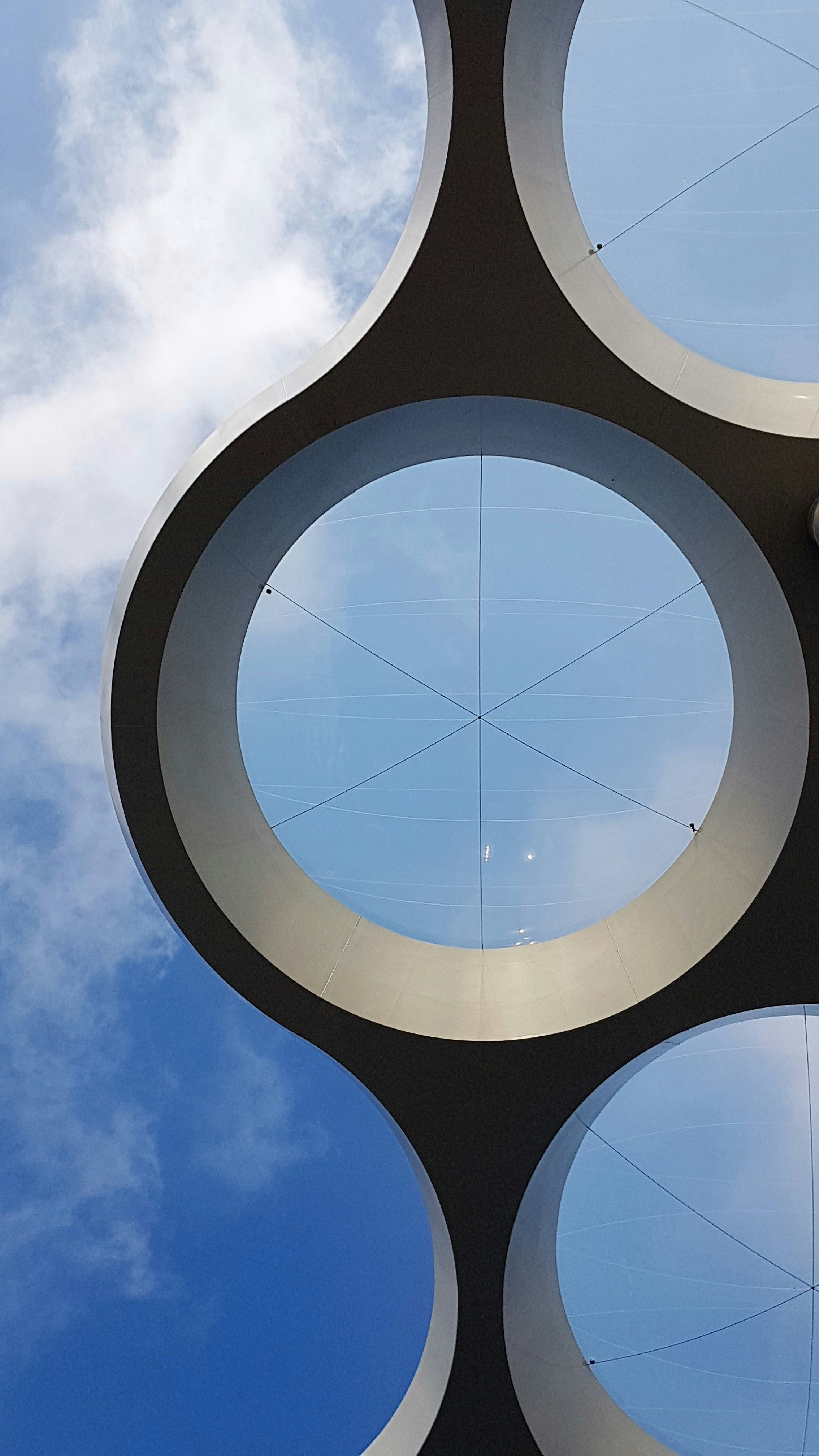 Photo by mariannebos