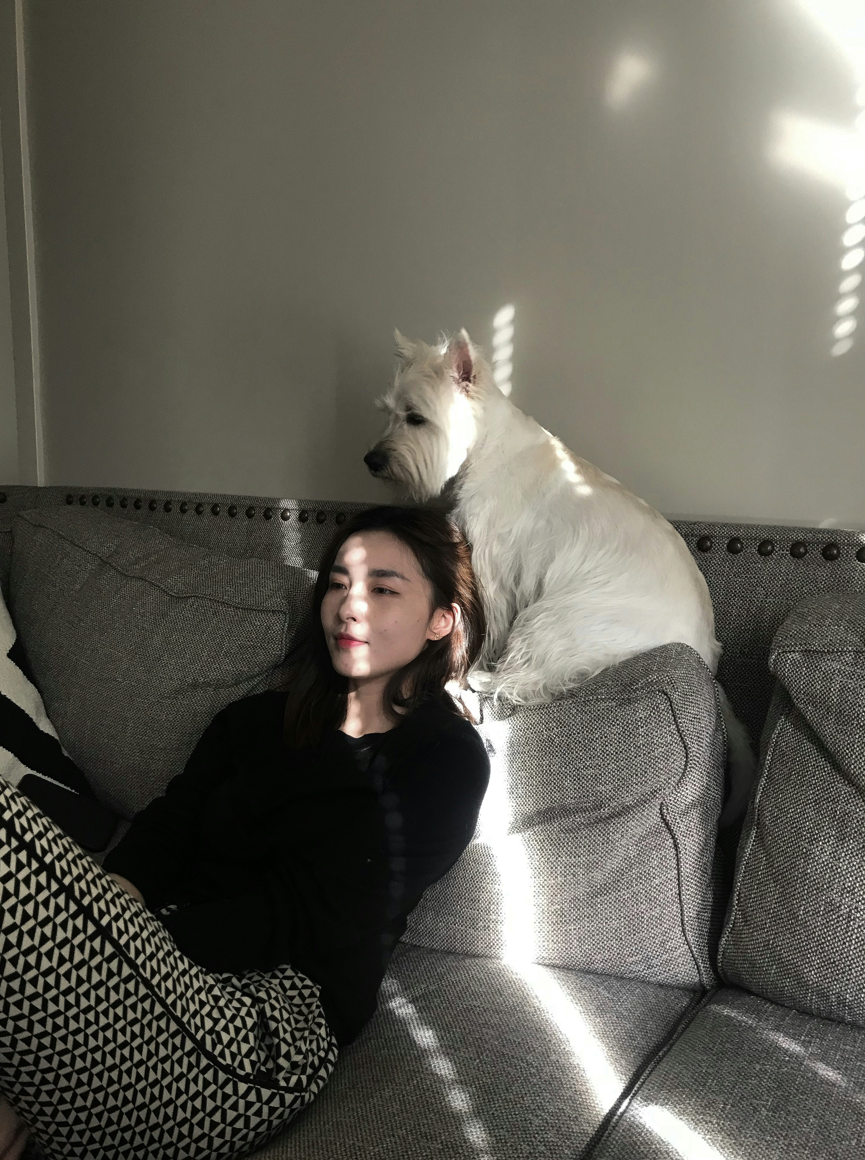 white dog beside woman sitting on couch