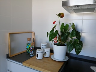 A kitchen corner features a white potted plant with broad green leaves and red flowers placed on a wooden board. Adjacent to it, there are white storage jars with cork lids. A wooden tray holds a glass bottle filled with colorful buttons or beads. In the background, a stainless steel kitchen hood is visible against a backdrop of white tiles.