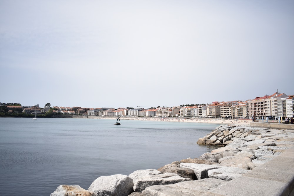 body of water during daytime