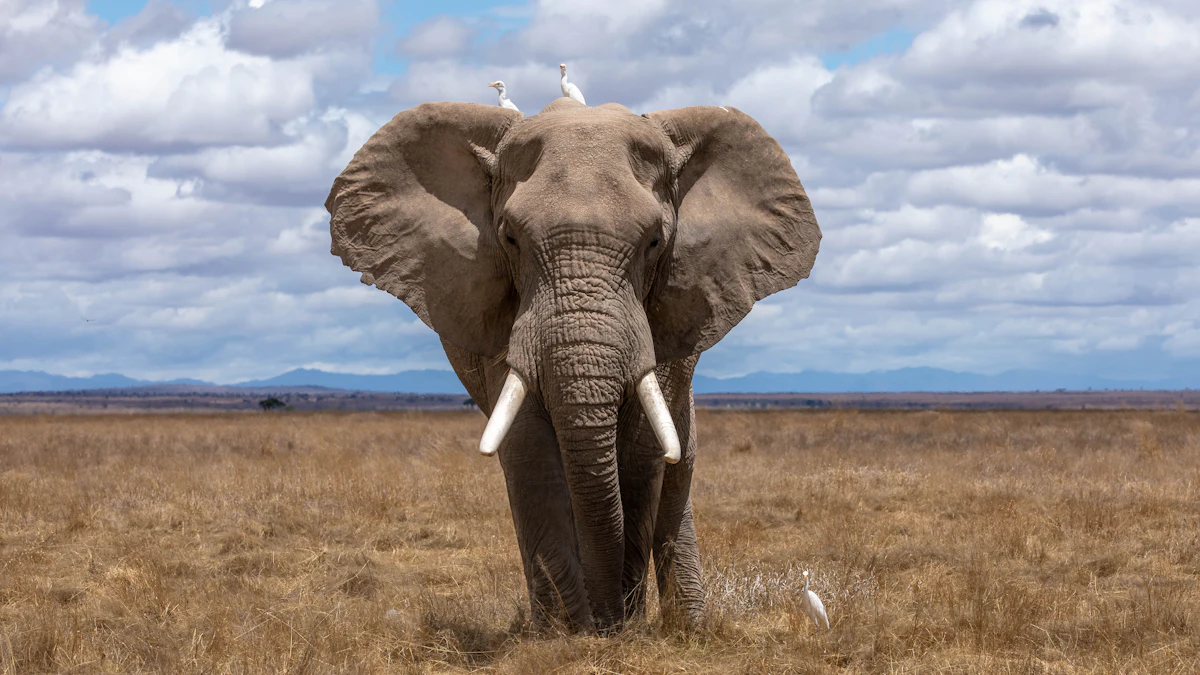 Elephants walking together through a wildlife landscape