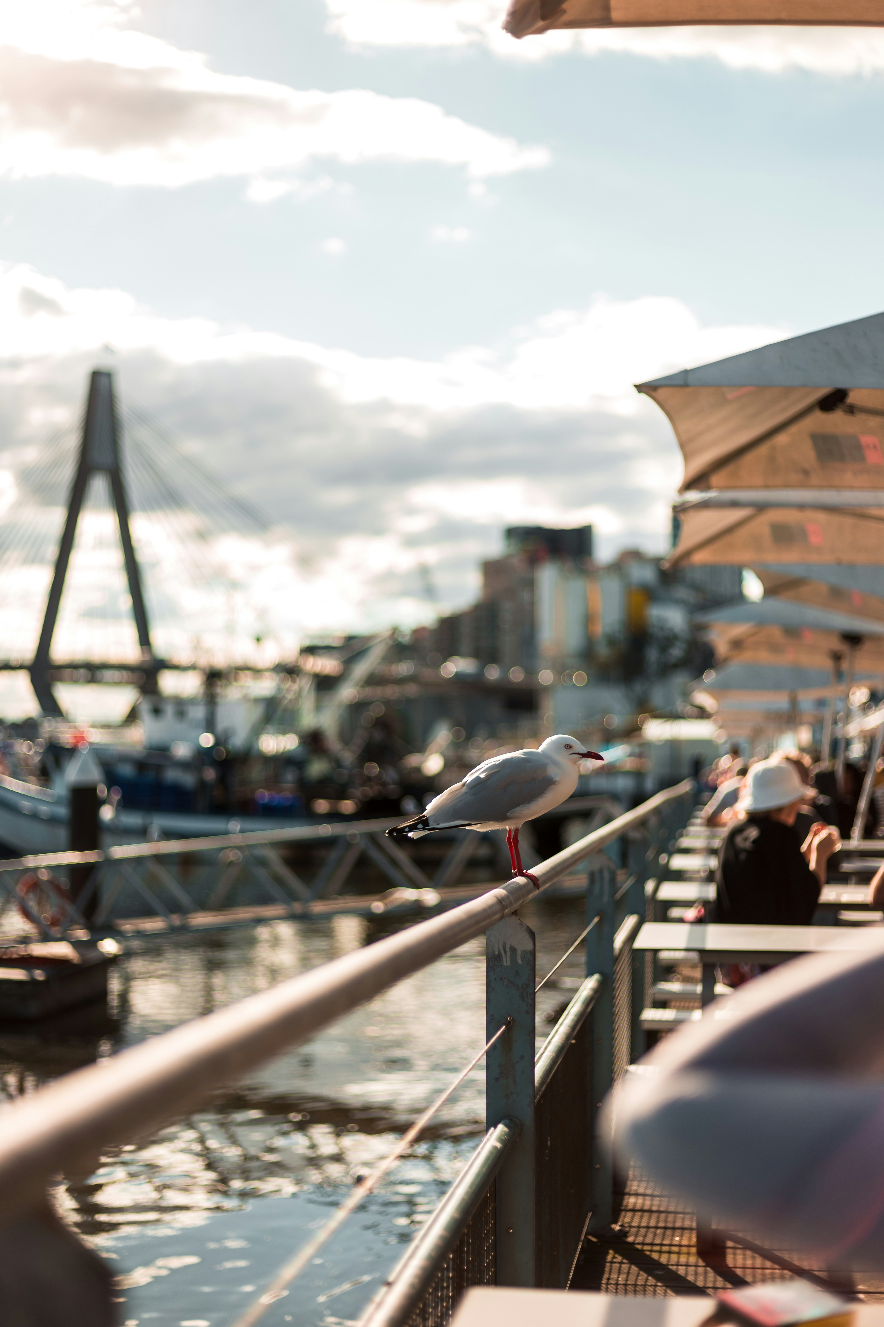 Photo by sanderdalhuisen