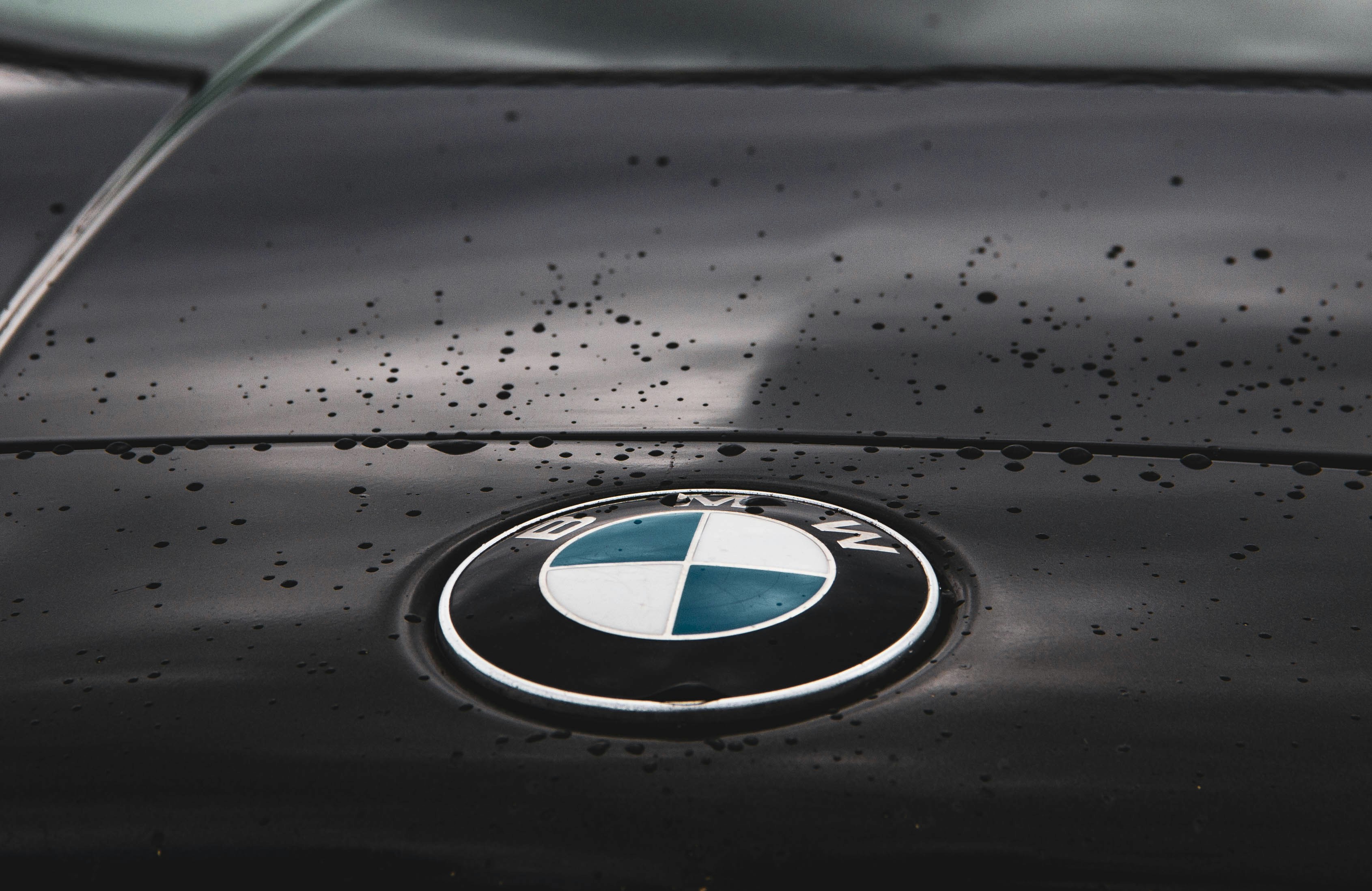Bmw Emblem Photo Free Logo Image On Unsplash