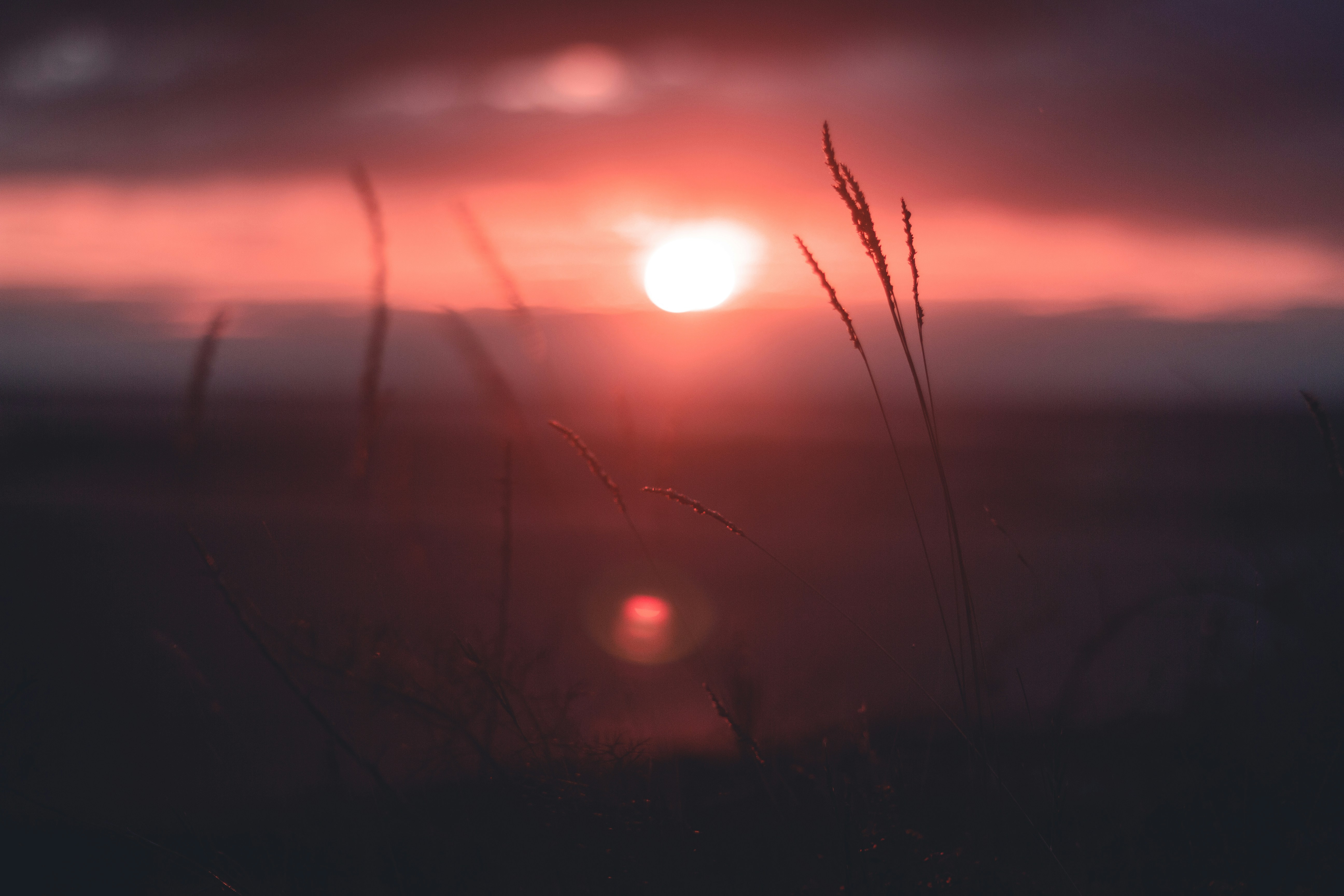 Photo by blrguillaume