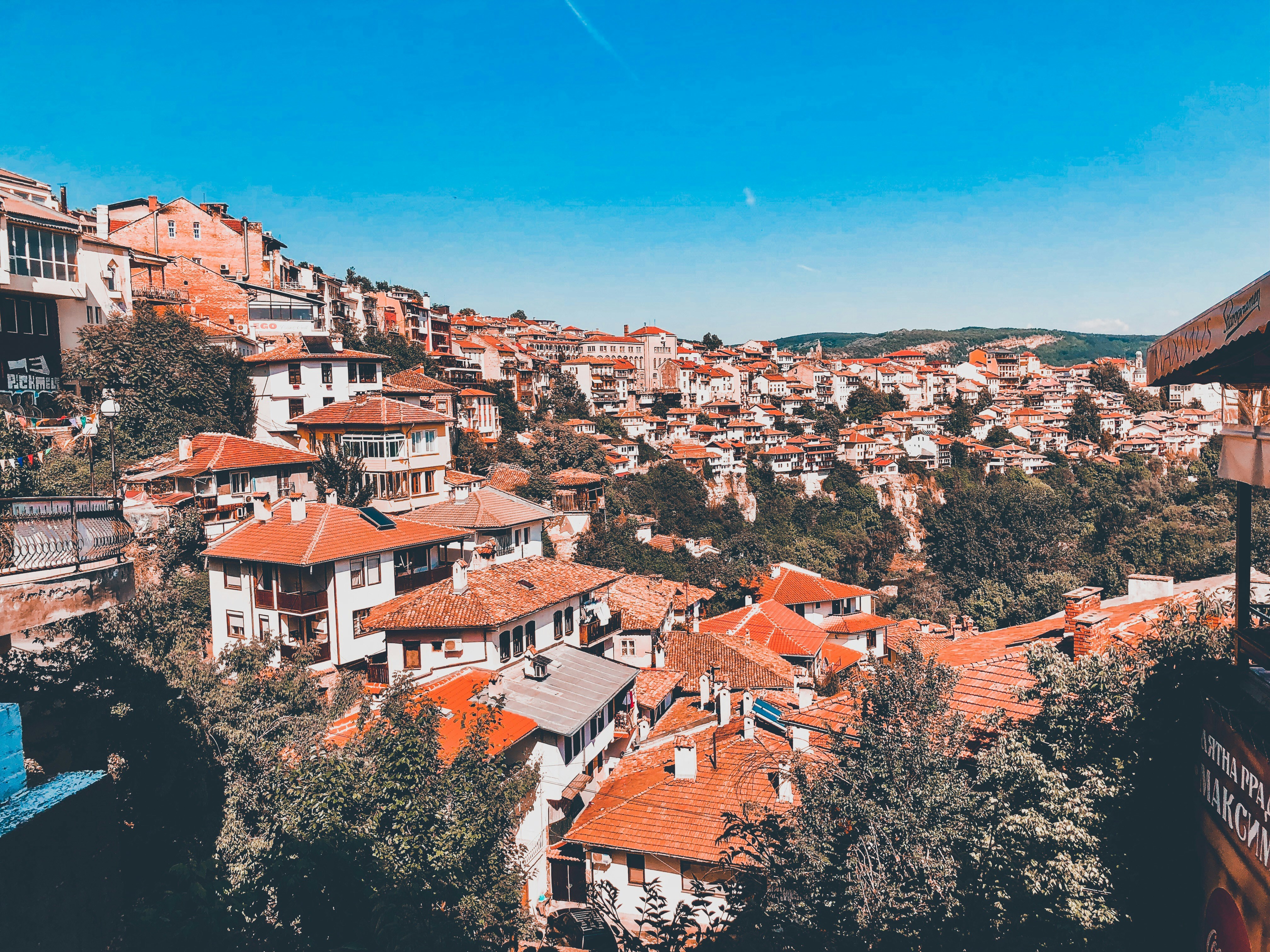 Photo by trayantula