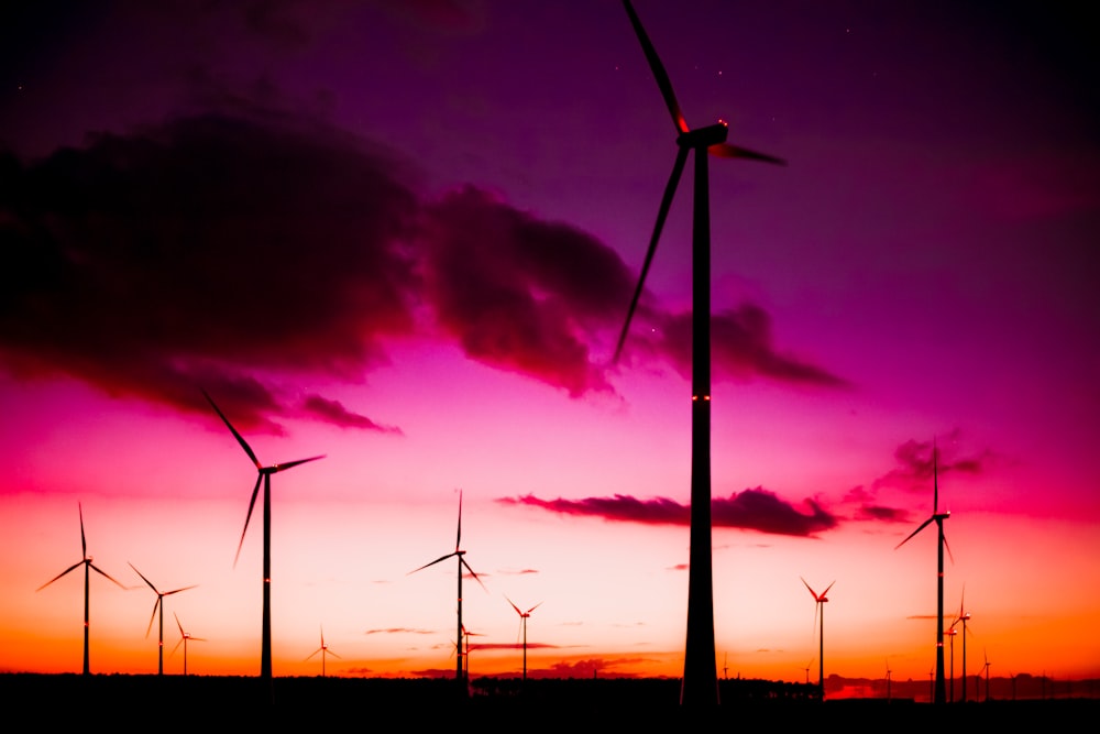 windmill during golden hour