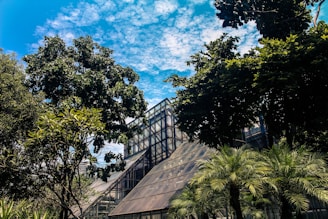 A vibrant greenhouse filled with various plants under a clear blue sky.