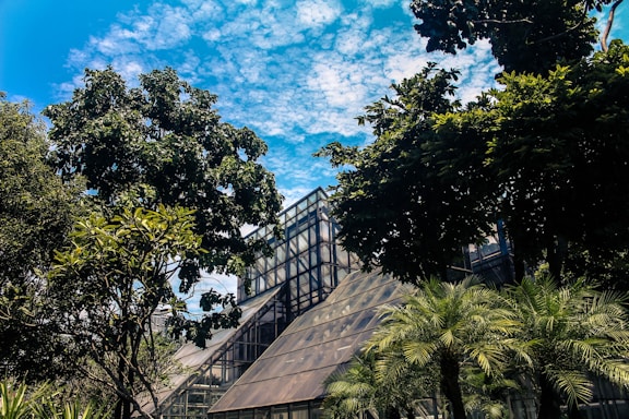 A welcoming greenhouse entrance surrounded by lush fruit trees under a bright sky.