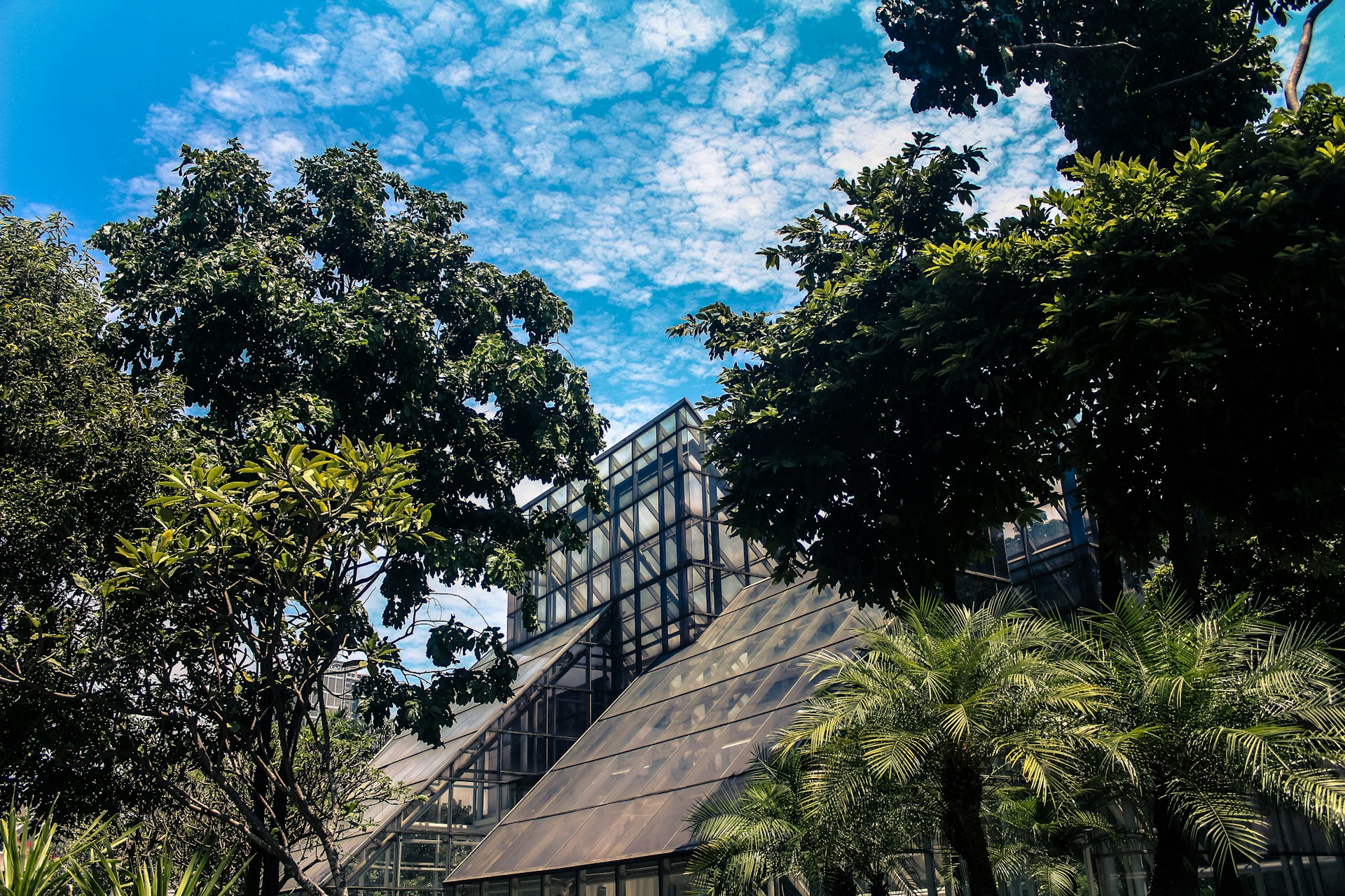 gray computer monitor