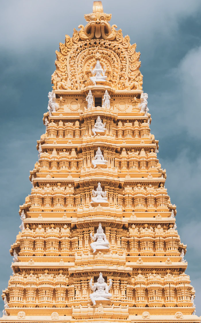 Aana Nettipattam