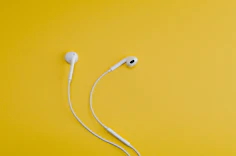 Apple EarPods with Lightning Connector