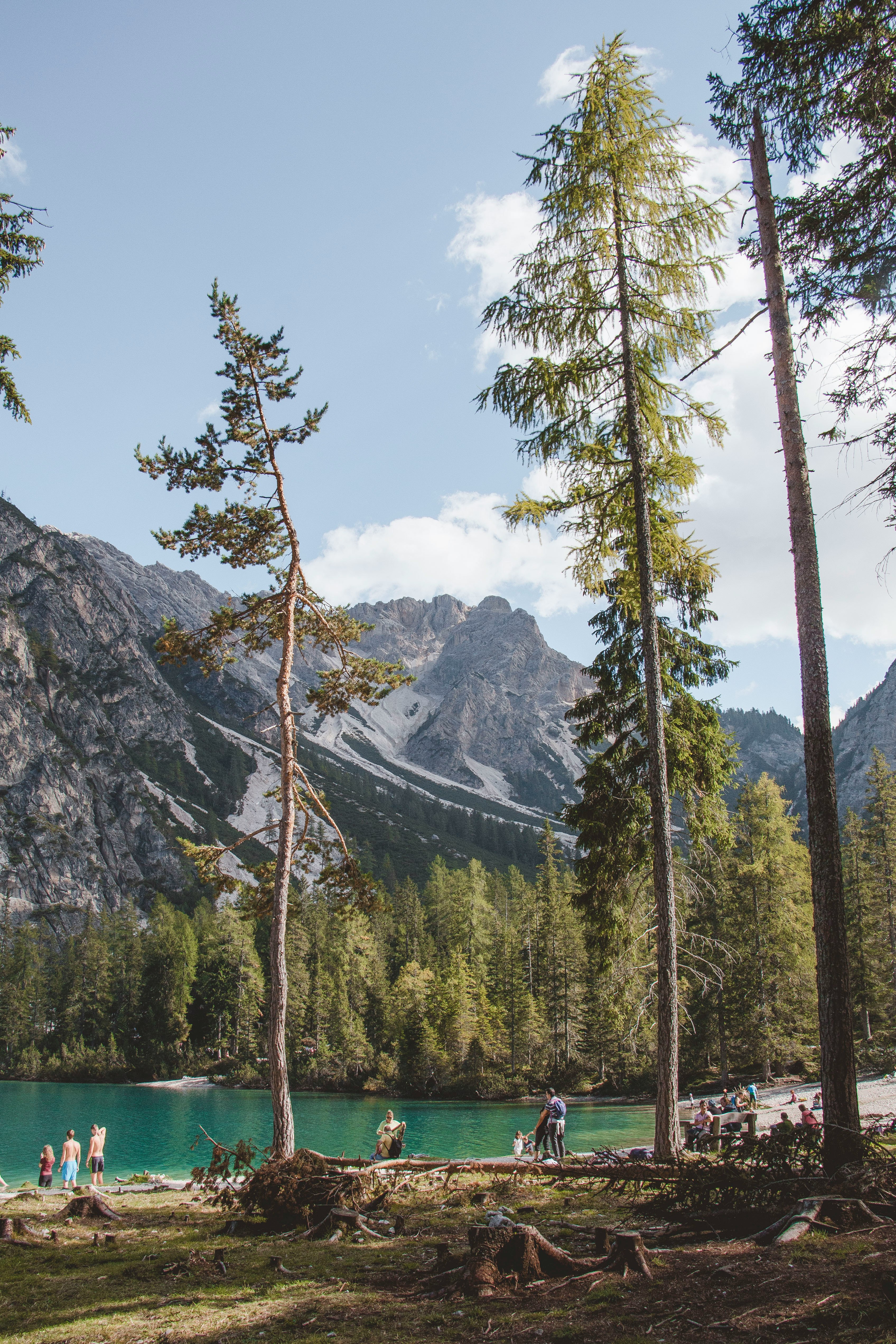 people near lake surrounded with tall and green trees viewing mountain