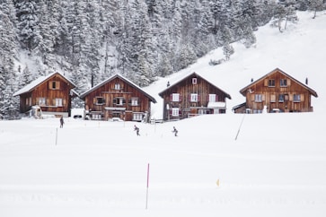 four brown wooden house on snow covered field
