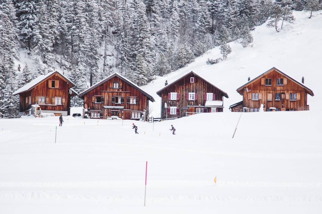 four brown wooden house on snow covered field