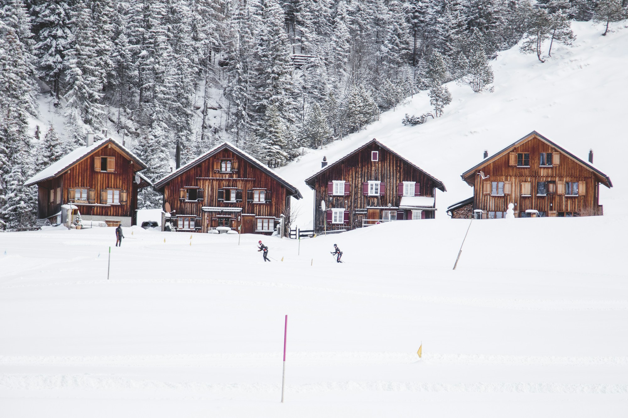 Discover the Delights: Liechtenstein's Authentic Cuisine Guide