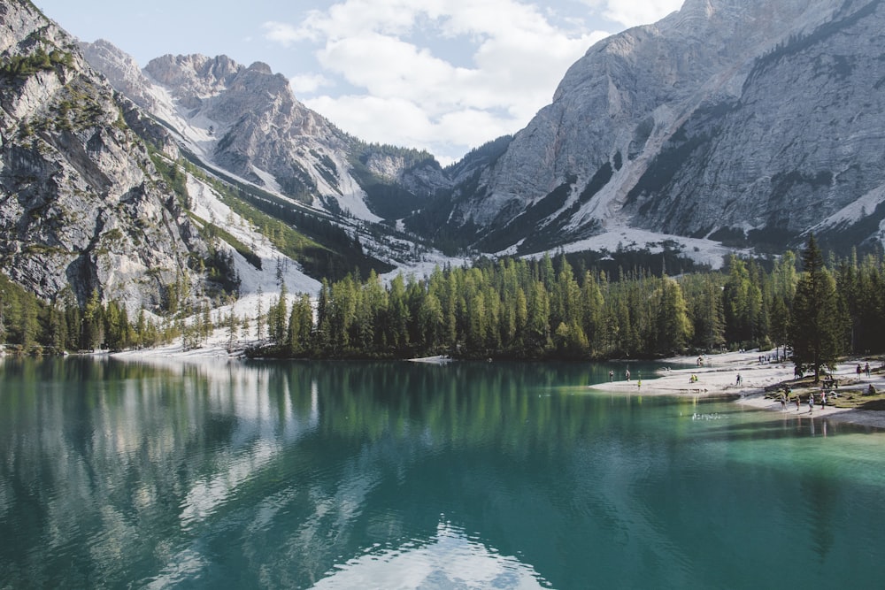 lake with trees and mountain at distance