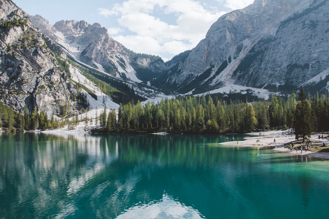 lake with trees and mountain at distance