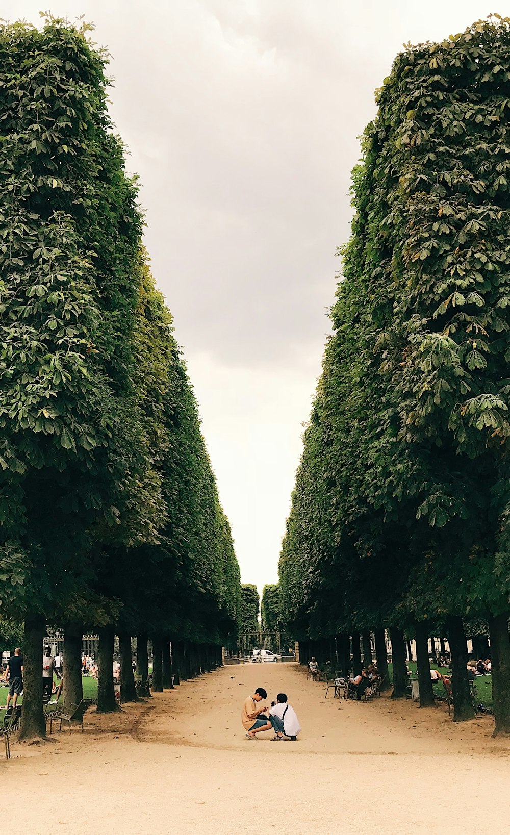 two men squat between trees at the park