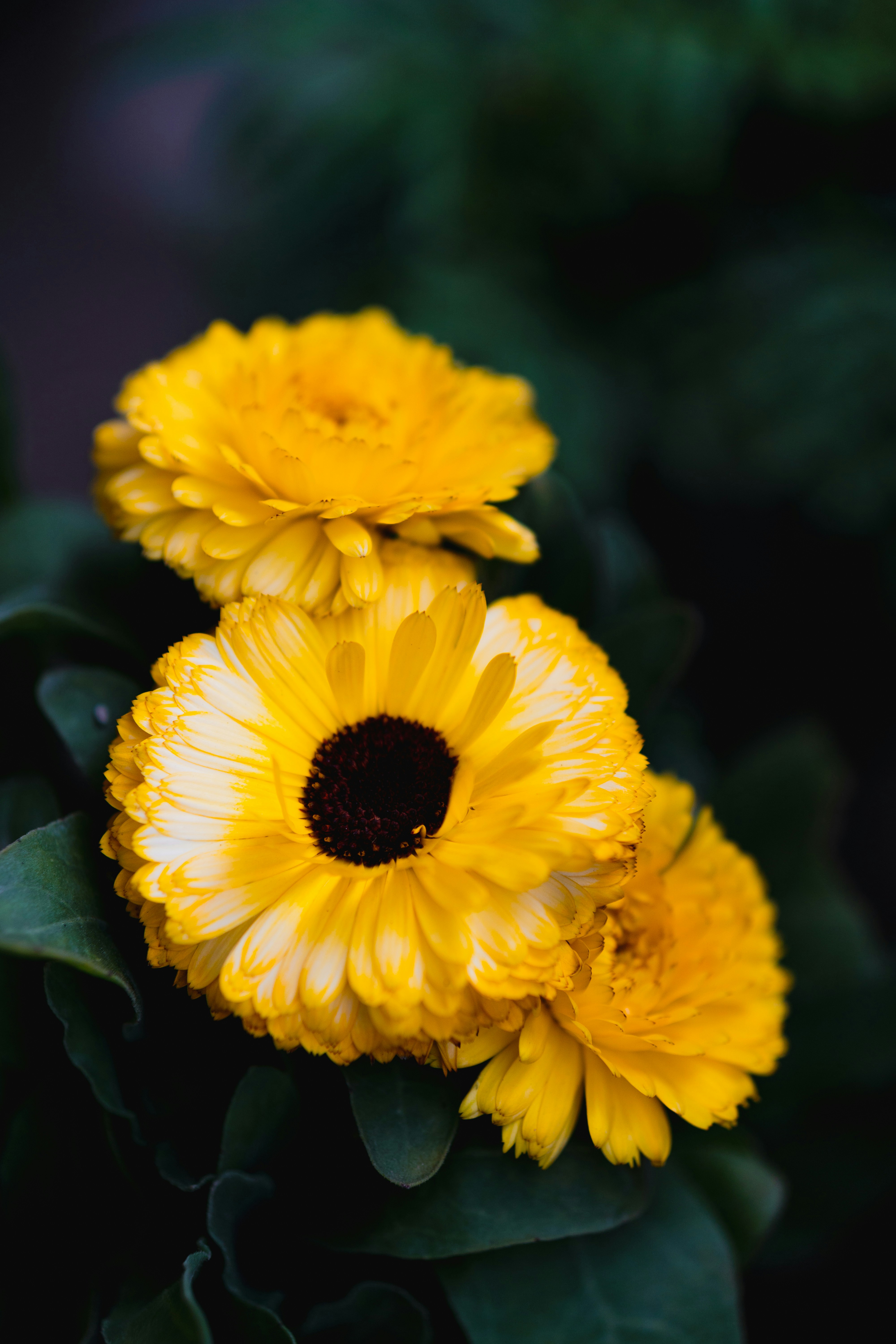 Photo by akuvats