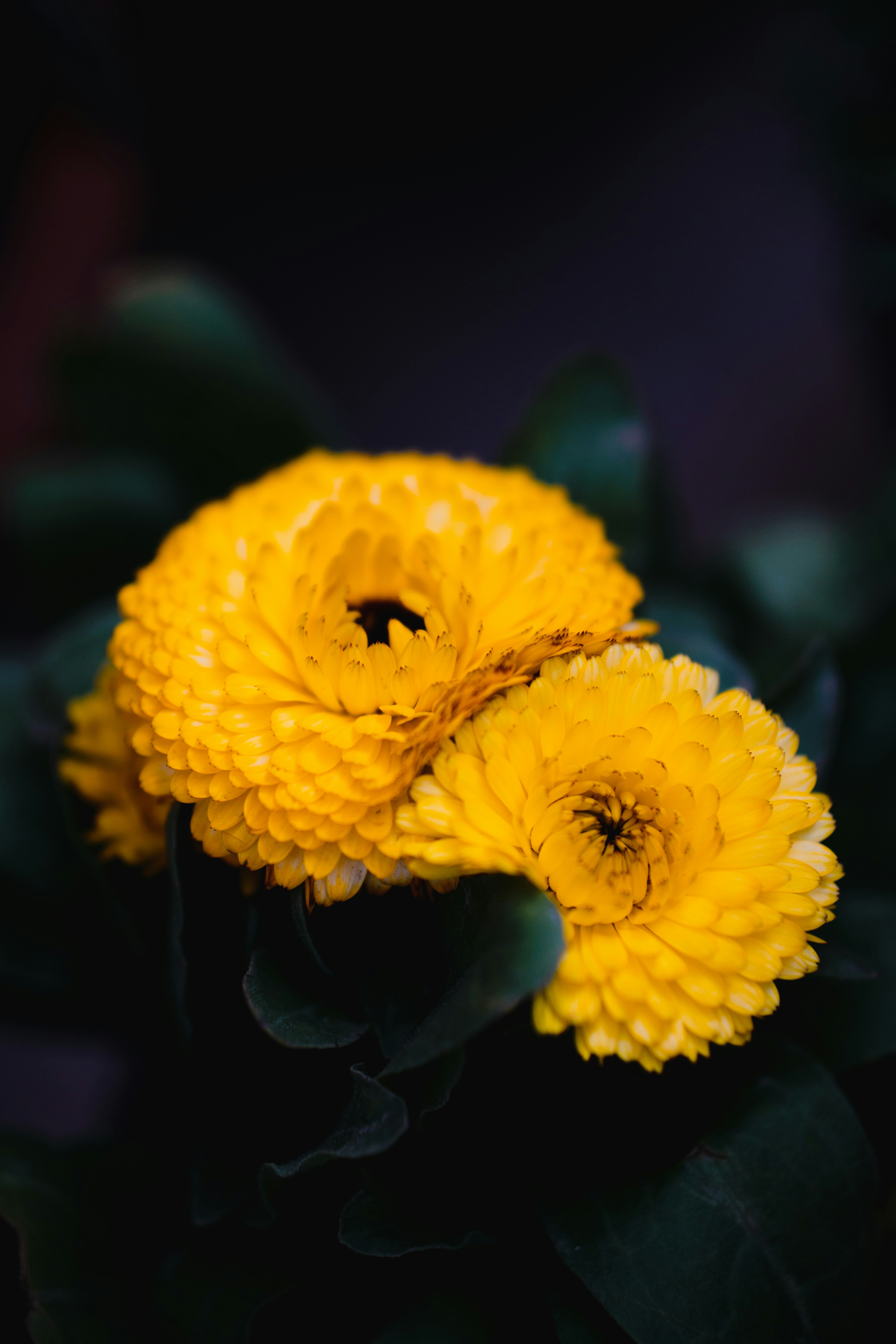 Photo by akuvats