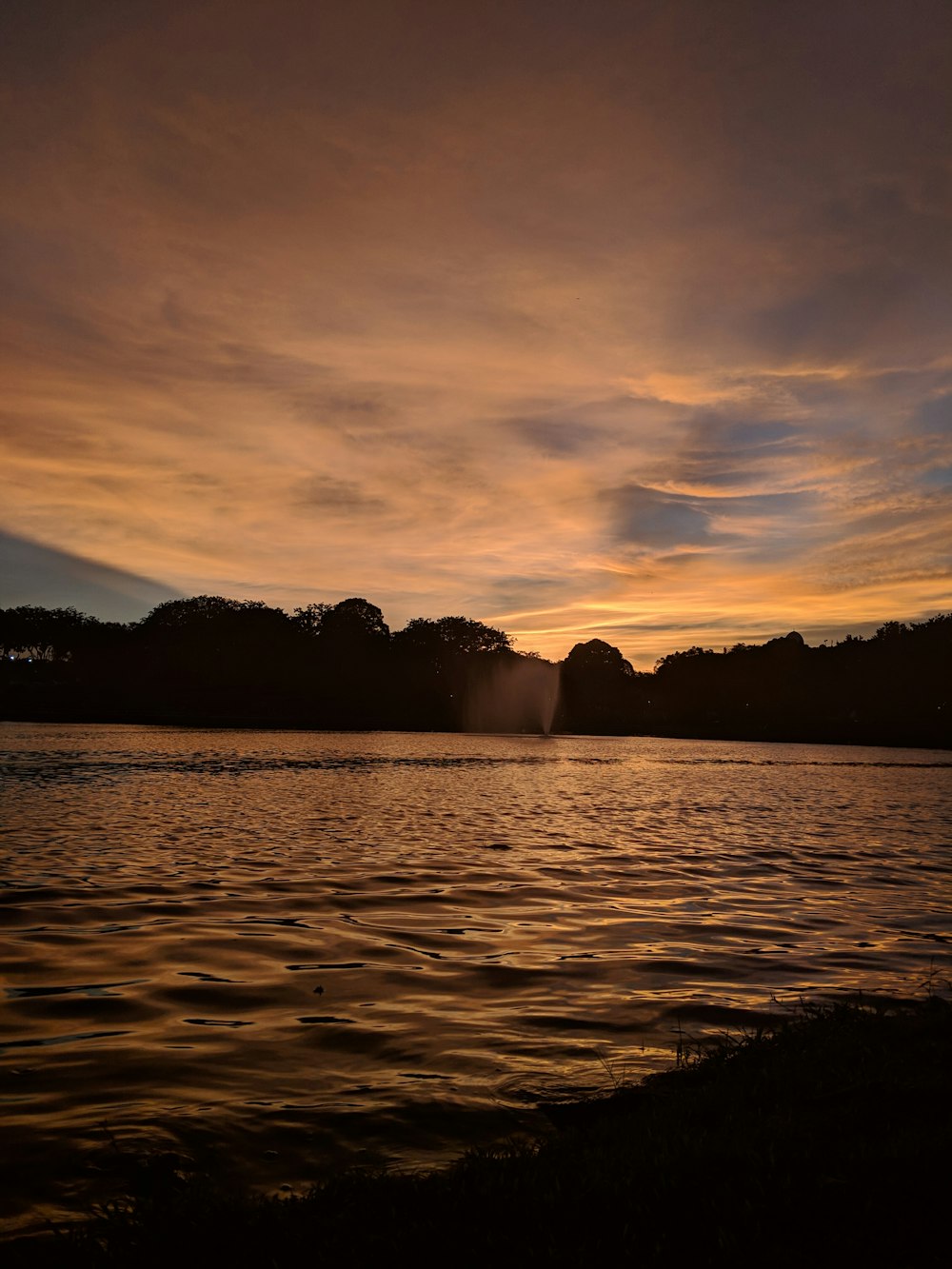 silhouette of trees and calm body of water