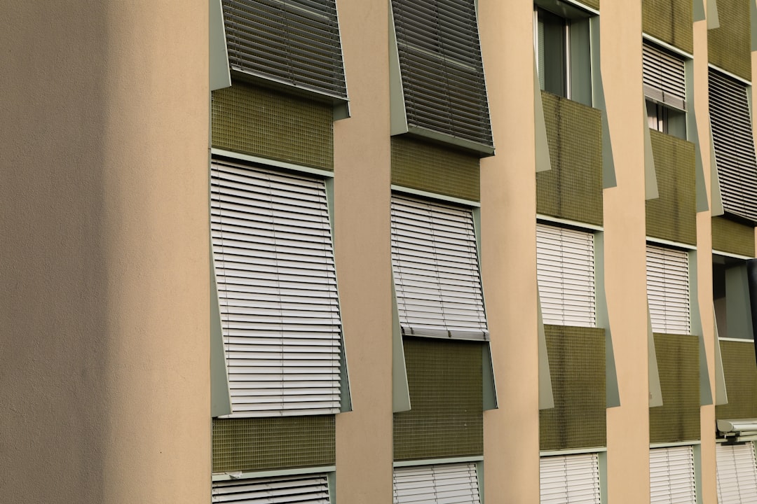 white window blinds