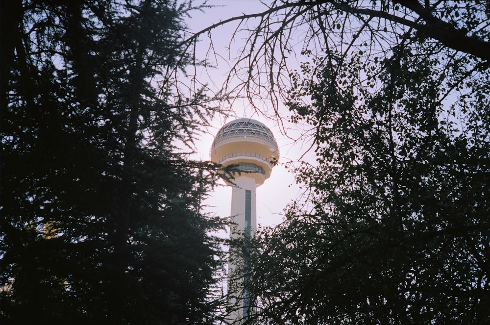 白いコンクリートの建物のクローズアップ写真