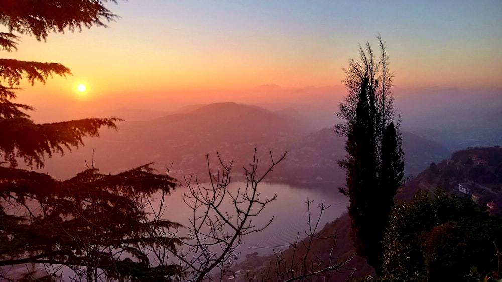 mountain and tree during golden hour