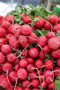 Radish Greens