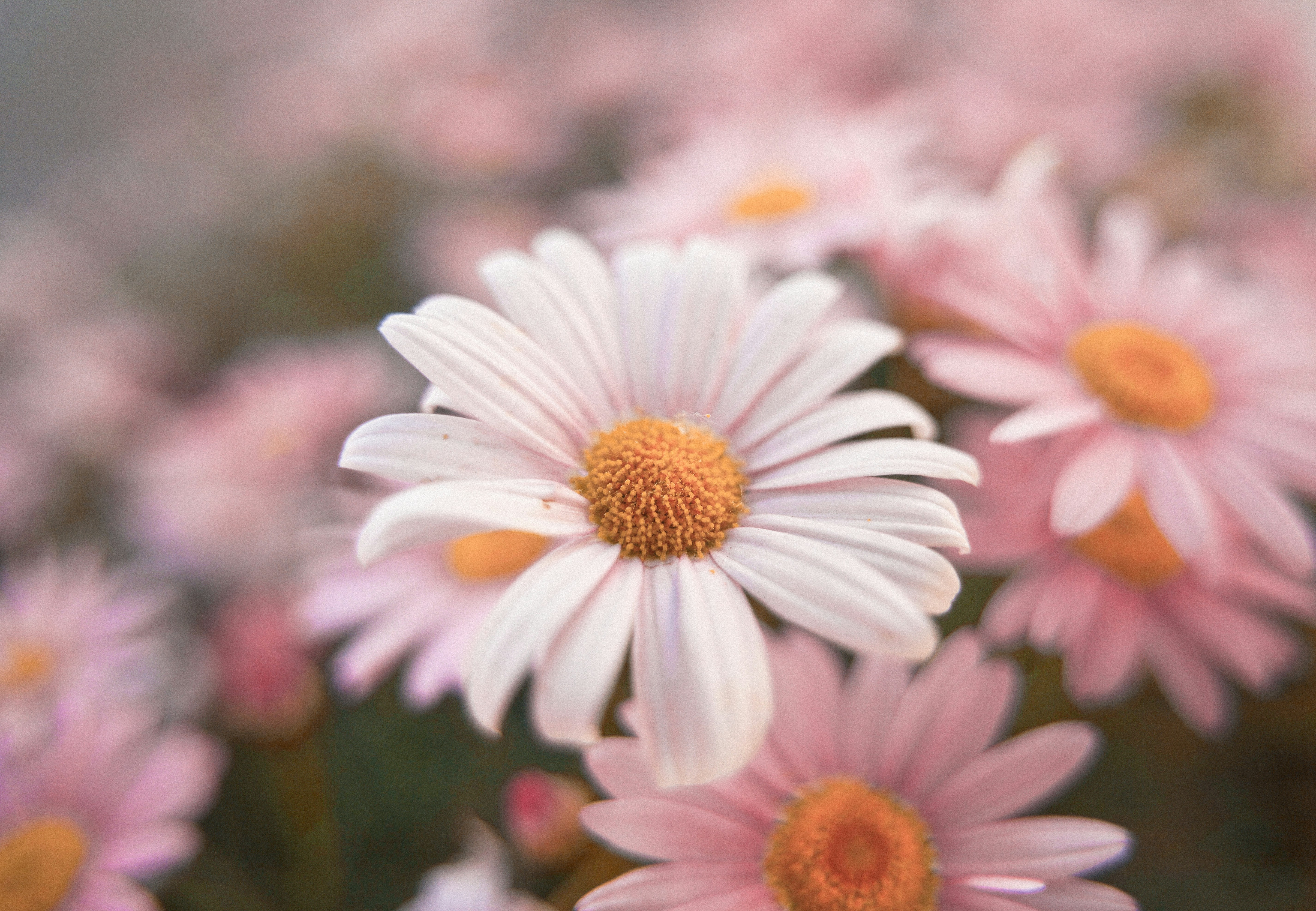 Photo by alexander_tsang