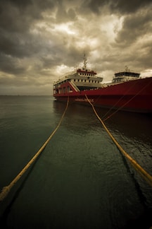 white and red boat on water