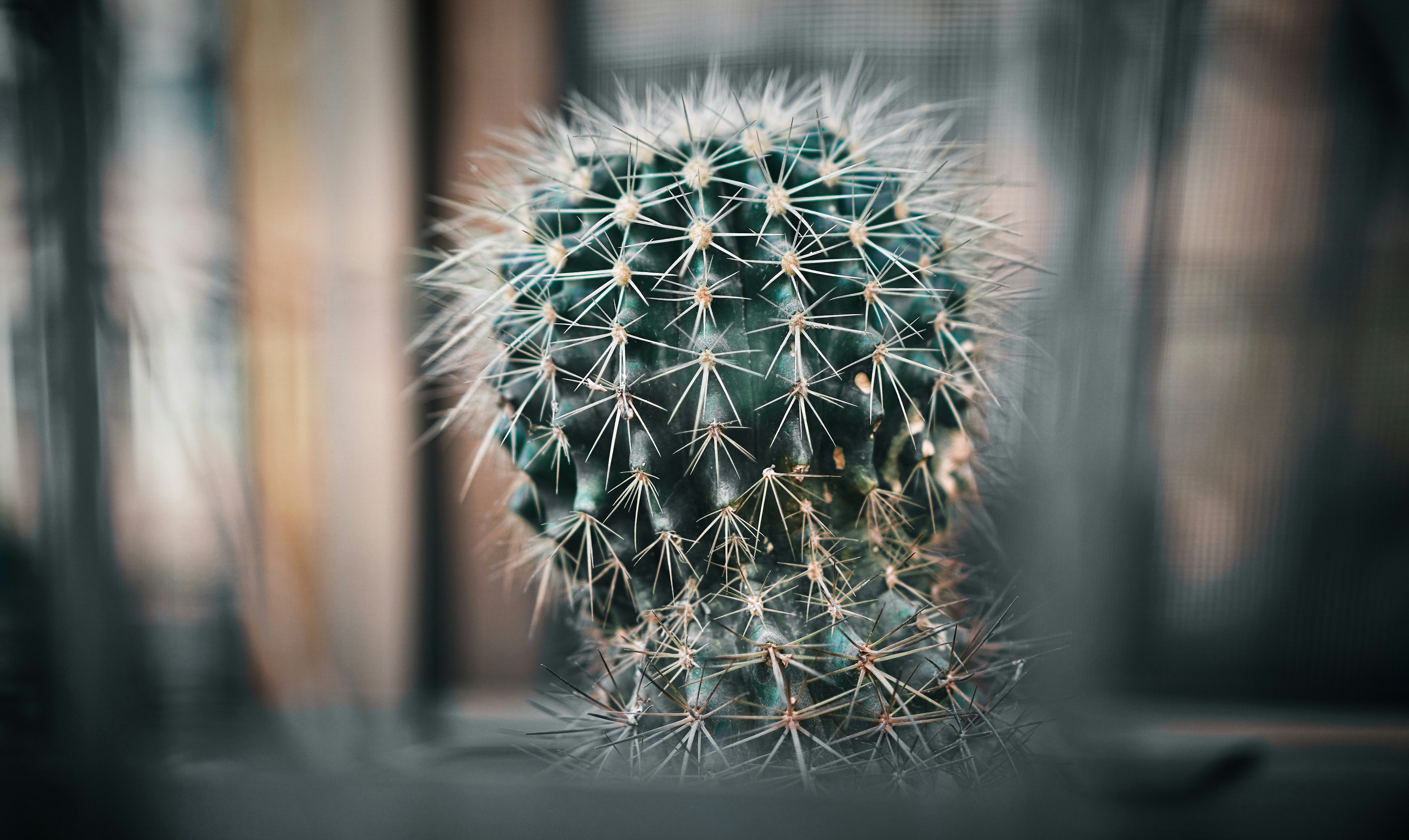 Photo by alexander_tsang