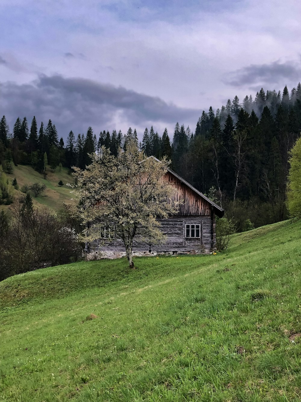 brown house on hill