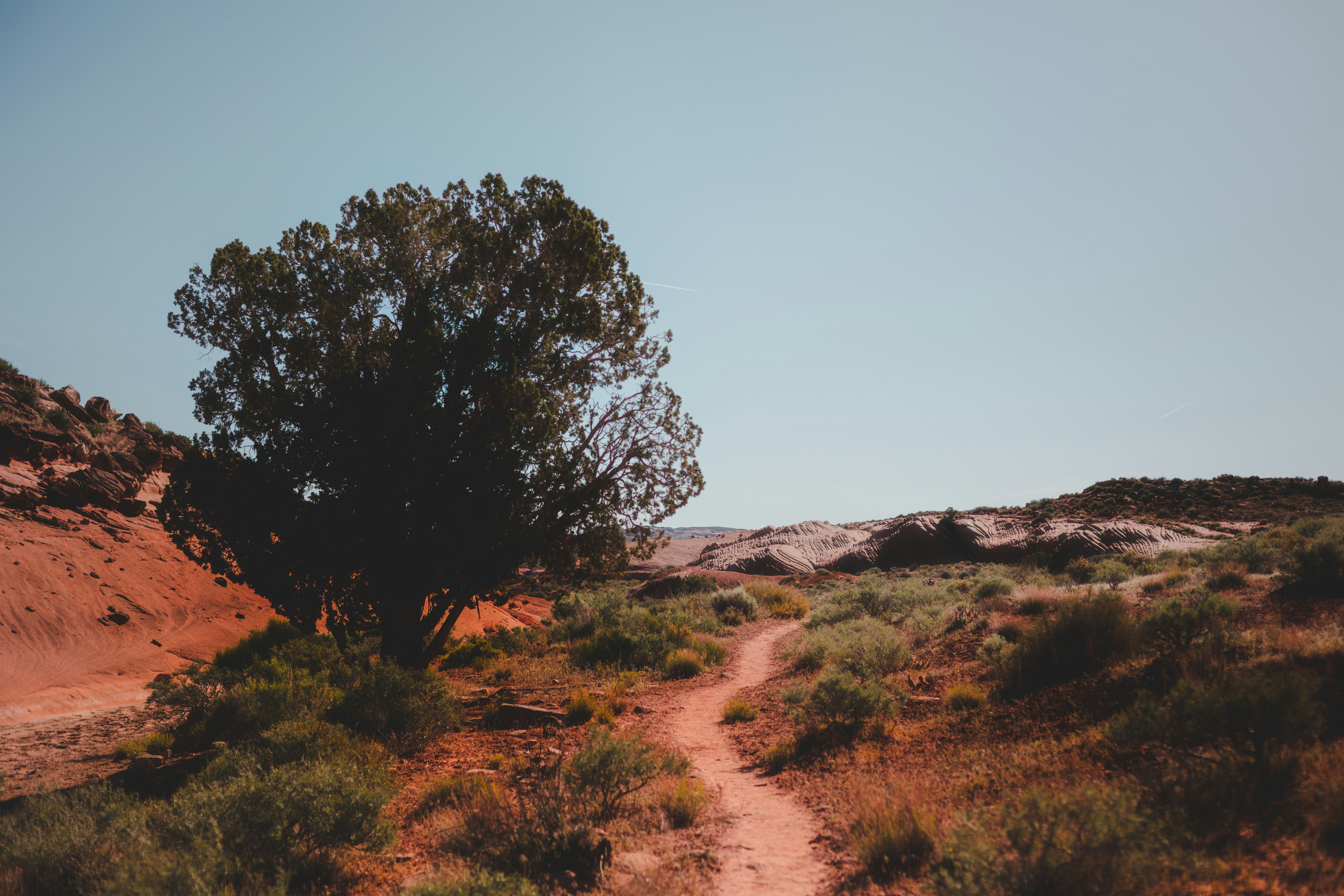 Photo by worldsbetweenlines