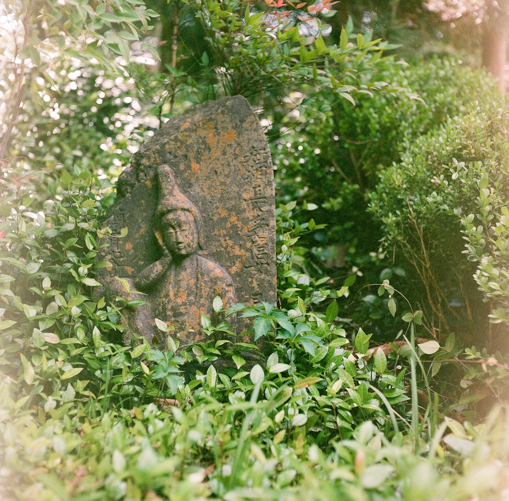 statue surrounded by plants