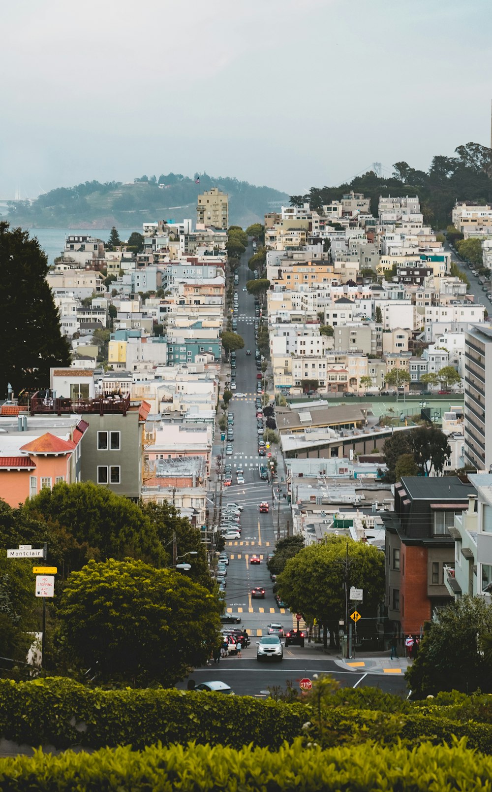 white buildings and houses during daytime