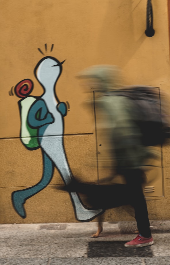 time lapse photo of man and dog